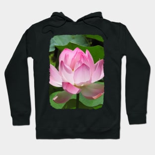 Pink Lotus Hoodie